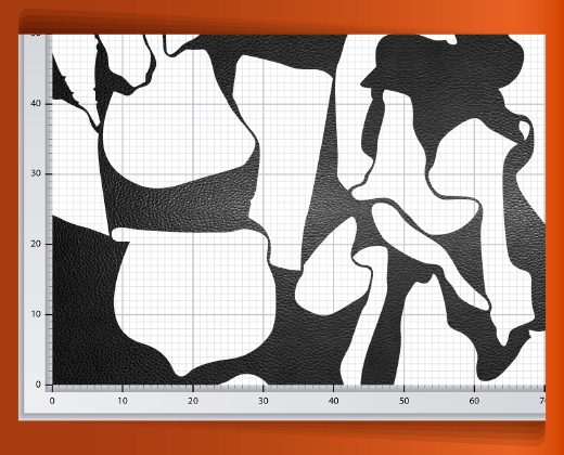 pedaceria-de-piel-en-red-02