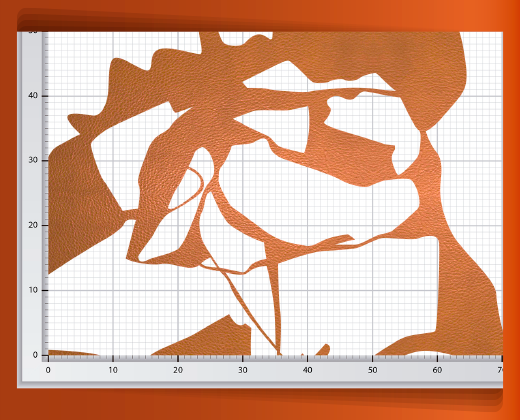 pedaceria-de-piel-en-red-24