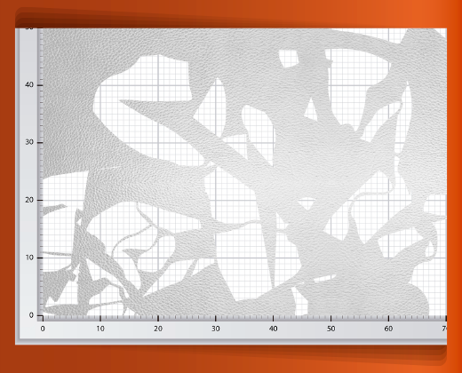 pedaceria-de-piel-en-red-37