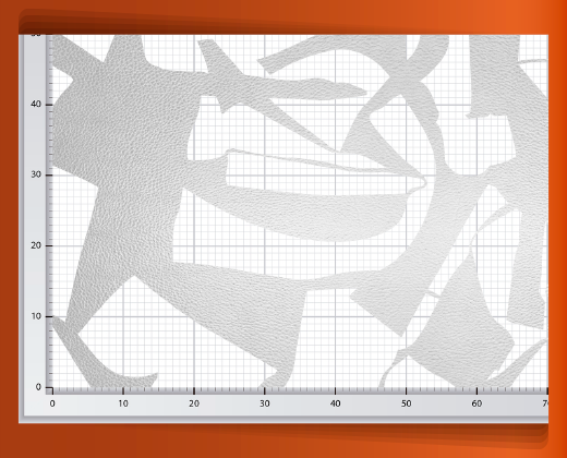 pedaceria-de-piel-en-red-38