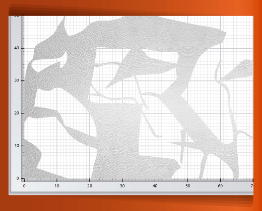 pedaceria-de-piel-en-red-39