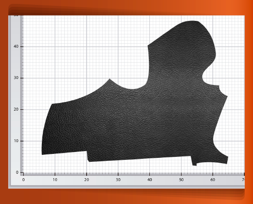 pedaceria-de-piel-grande-04