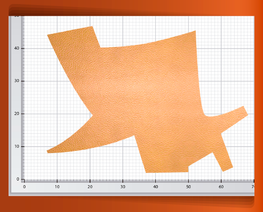 pedaceria-de-piel-grande-10