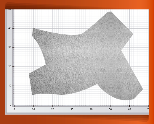 pedaceria-de-piel-grande-16