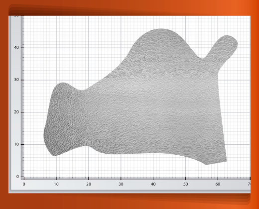 pedaceria-de-piel-grande-17