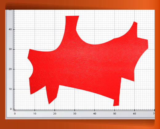 pedaceria-de-piel-grande-44